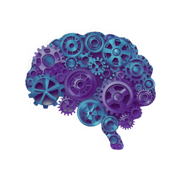 brain